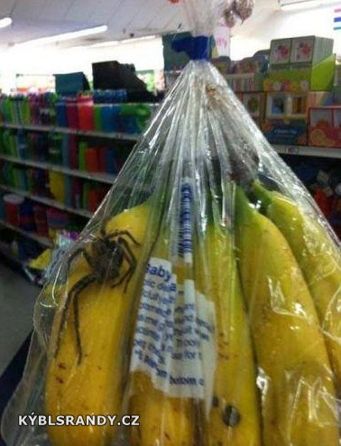 Banány i s pavoukem