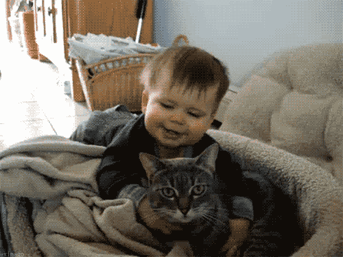 Dítě a kočka