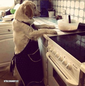Dneska vaří pes