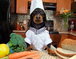Dneska vařím já - pes