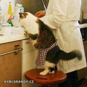 Dobrý pomocník v kuchyni