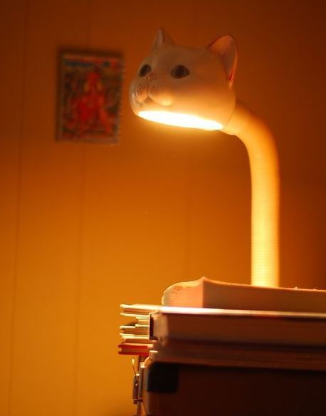 Kočičí lampička