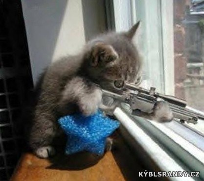 Kočičí sniper