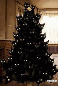 Kočičí vánoční stromek