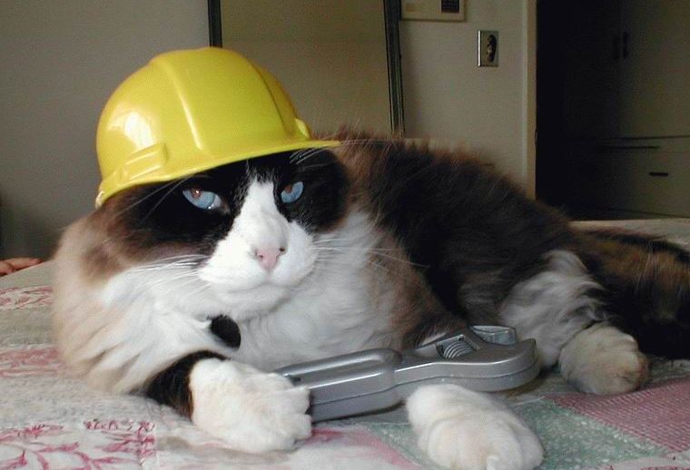 Kočka opravář