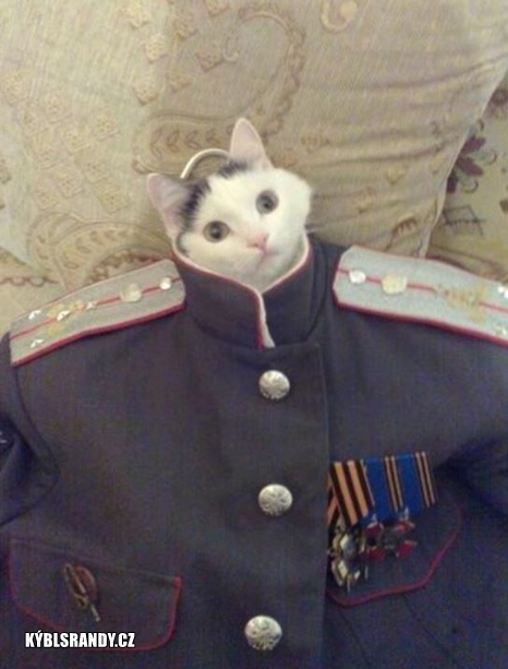 Kočka v uniformě