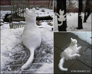 Kočky ze sněhu