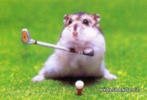 Křeček hraje golf