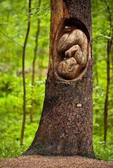 Nenarozené dítě ve stromě