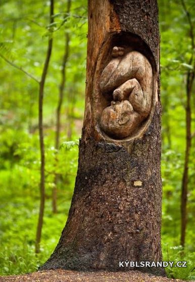 Nenarozené dítě ve stromu
