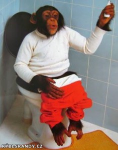 Opice na WC