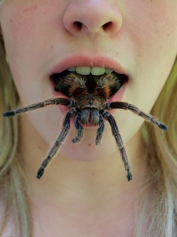 Pavouk v ústech ženy