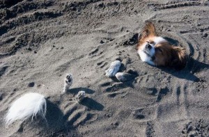 Pohodička v písku