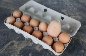 Příliš velké vejce