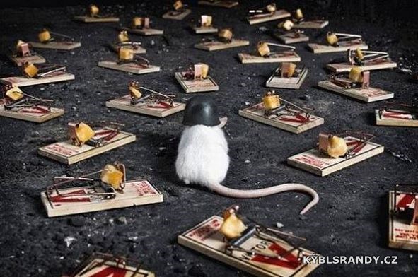 Vždy připravená myš