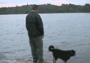 Rybář škádlil psa a spadl do vody
