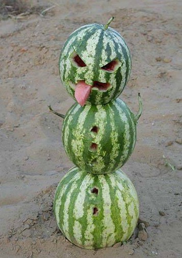 Sněhulák z melounů