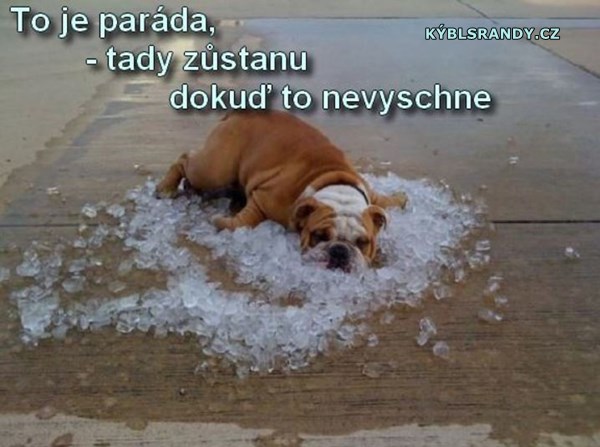 To je paráda