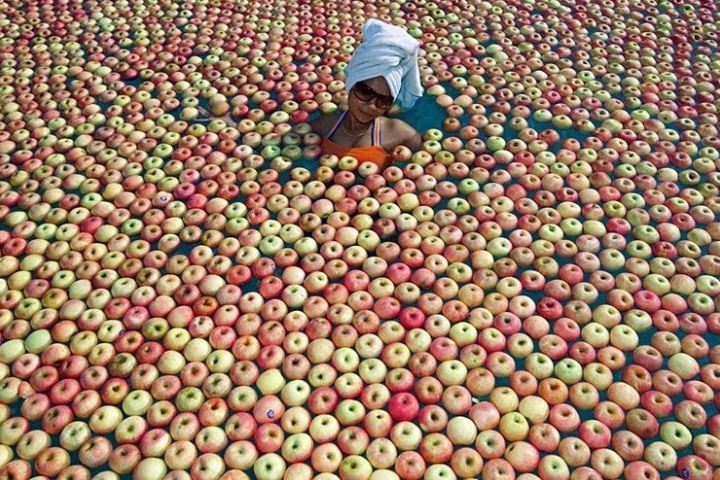 Všude jablka