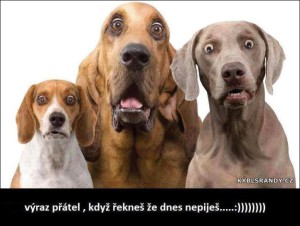 Výraz přátel, když řekneš, že dnes nepiješ