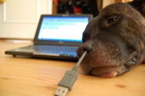 Zapojíme psa do USB