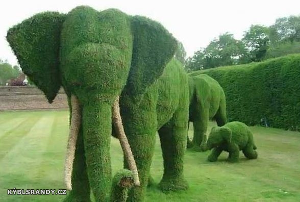Zelená sloní rodinka